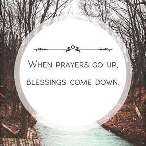 Meet your Posher, Fawne